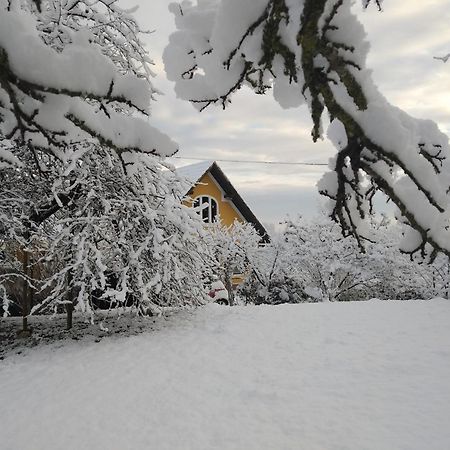 Biohof Koller Vila Weichselbaum Exterior foto