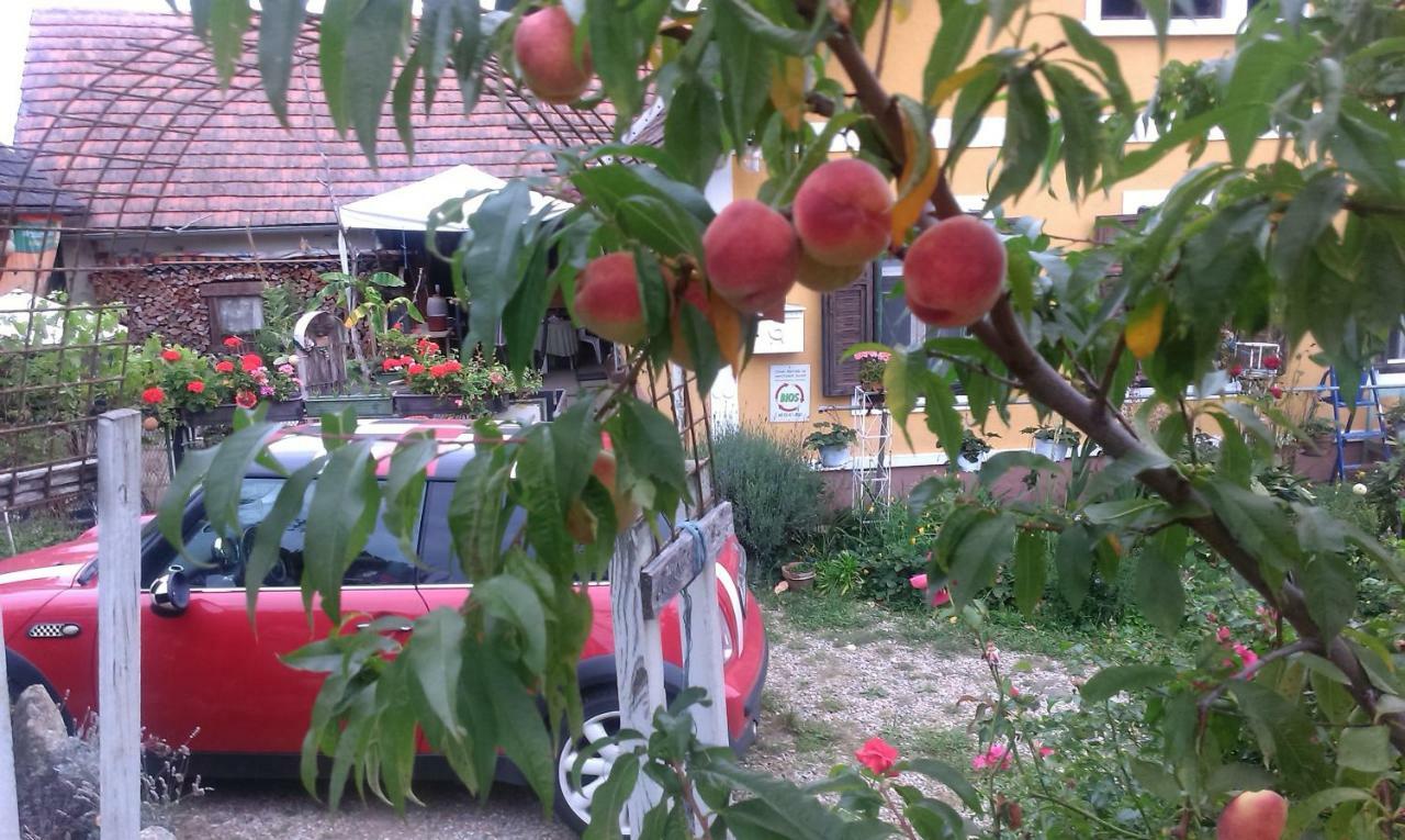 Biohof Koller Vila Weichselbaum Exterior foto